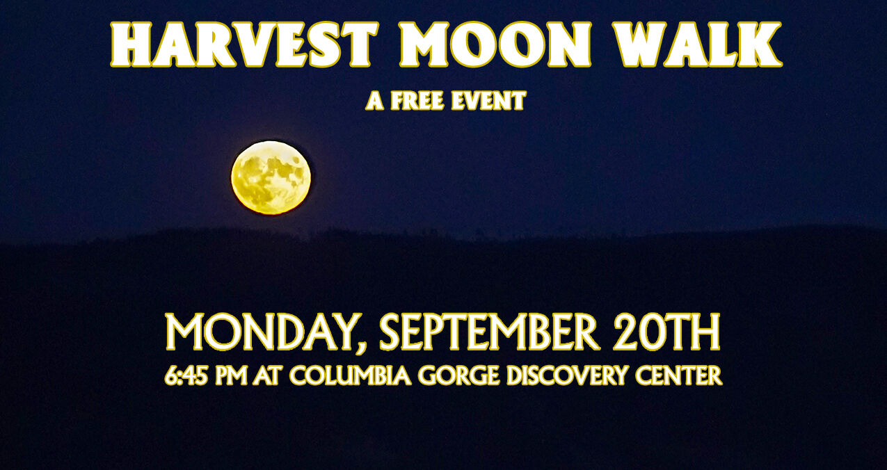 Harvest Moon Walk